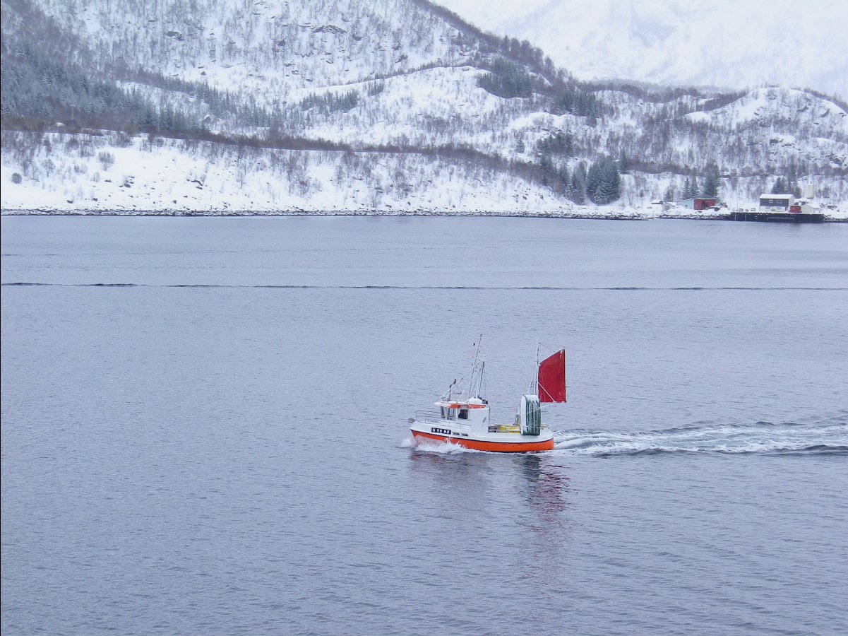 most beautiful voyage15